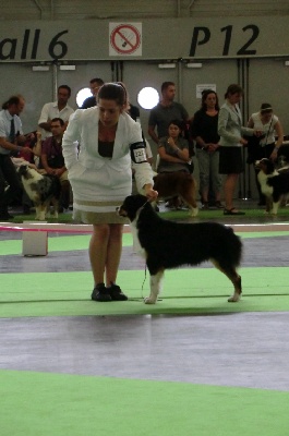 PARIS WORLD DOG SHOW 2011